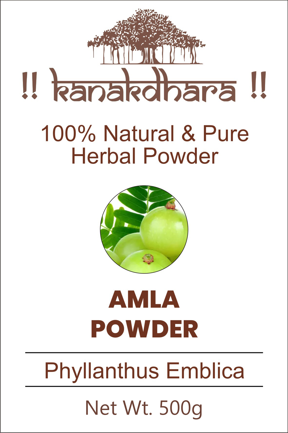 Amla Powder