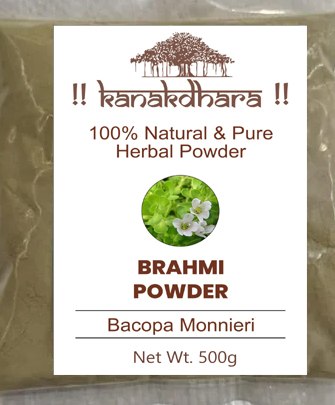Brahmi (Bacopa monnieri)